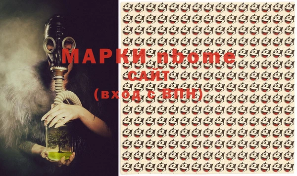 индика Долгопрудный