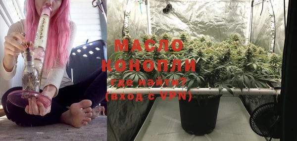 индика Долгопрудный